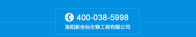 新坐标400电话