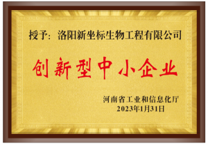 创新型中小企业